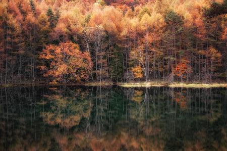 Beautiful reflection in Autumn