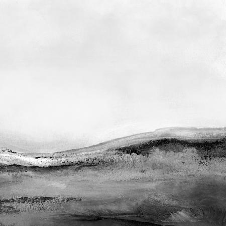 Mono Landscape No2