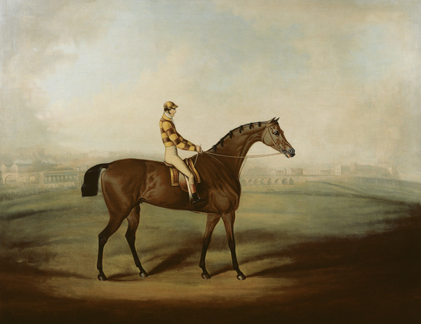 Portrait of Bruitandorf with jockey up and Chester Racecourse Beyond à Daniel Clowes