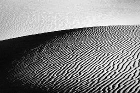 Ripples in the Sand