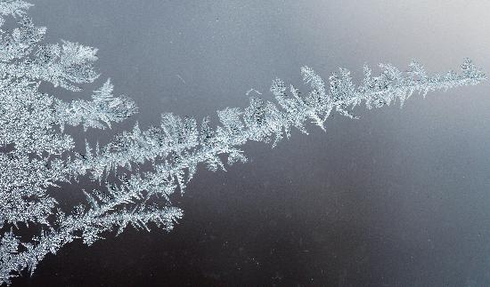 Eisblumen auf Fensterscheibe à Daniel Karmann