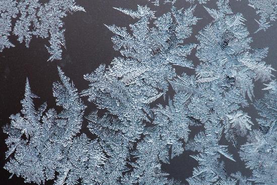 Eisblumen auf Fensterscheibe à Daniel Karmann