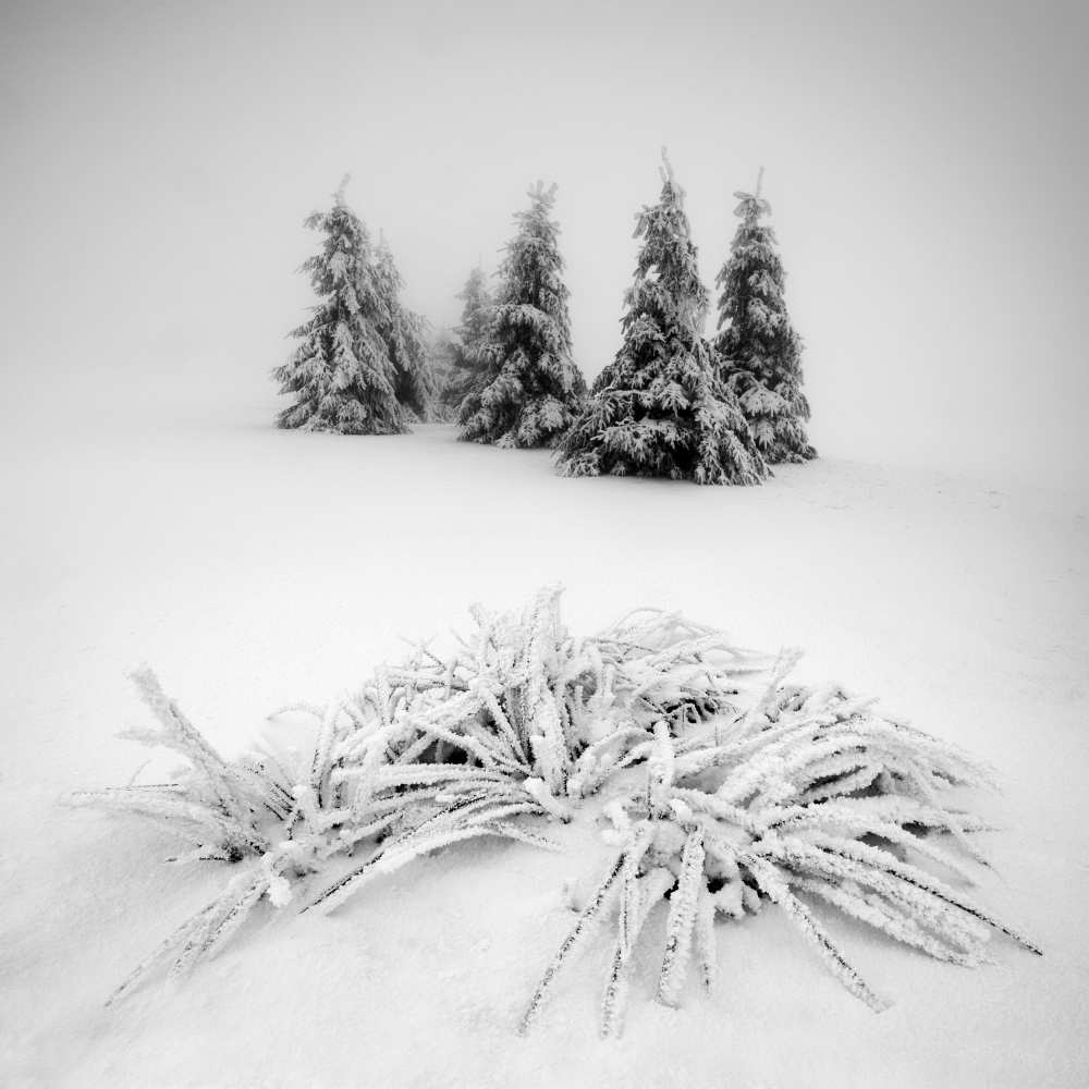 Winter scenery à Daniel Rericha