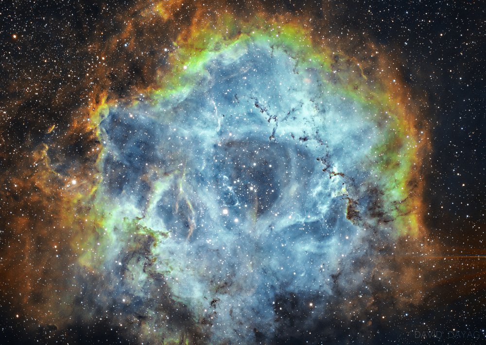 The Rosette Nebula à David Dayag