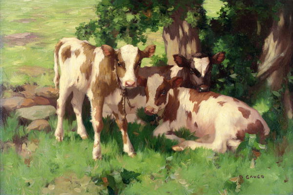 Three Calves in the Shade of a Tree à David Gauld