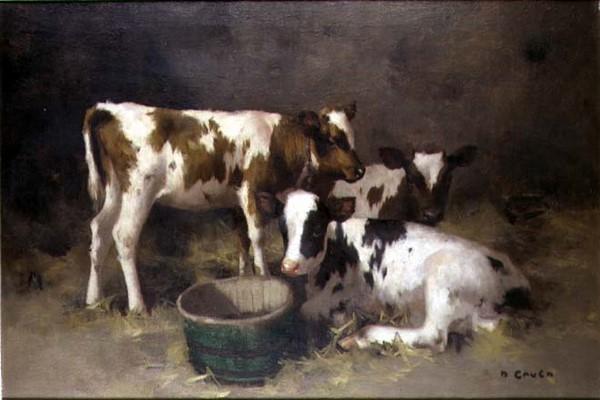 Three Calves (oil on canvas) à David Gauld