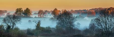 The Foggy Farm in Golden Light