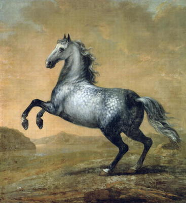 The Little Englishman, King Karl XI (1655-97)'s Horse (oil on canvas) à David Klocker Ehrenstrahl