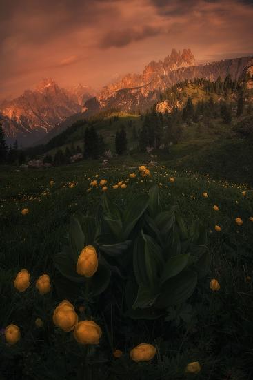 Cinque Torri, Dolomites