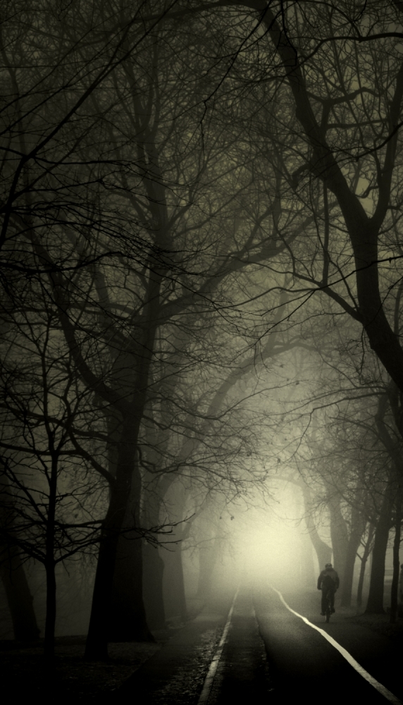 Misty morning à David Senechal Photographie (polydactyle)