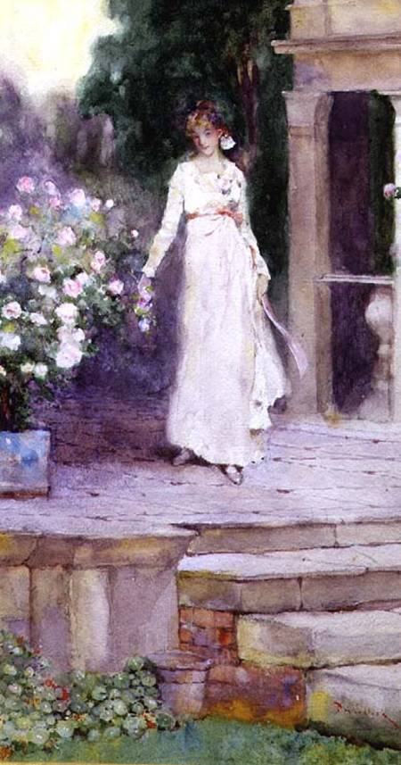 Lady on the Rose Terrace à David Woodlock