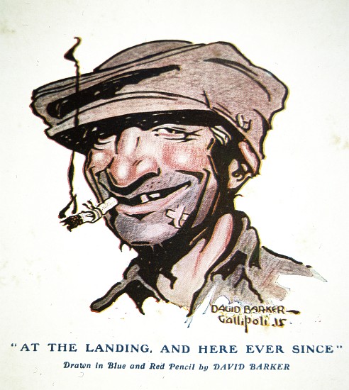 At the landing, and here ever since - Gallipoli Campaign of 1915, cartoon from The Anzac Book à David C. Barker
