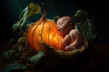 Bruna and the physalis