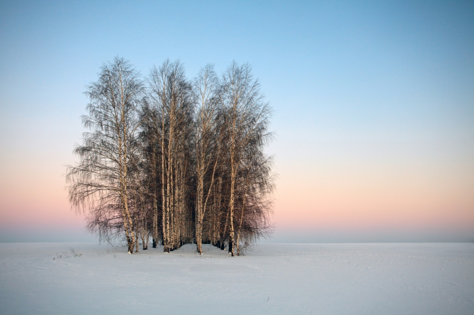 Frozen Spaces à Denis Belyaev