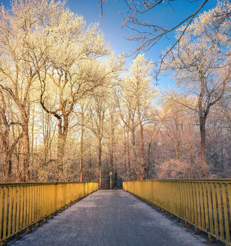 Brücke im weißen Winterwald im Küchenholz Leipzig