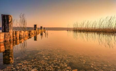 Sonnenaufgang mit Schilf am Störmthaler See Leipzig