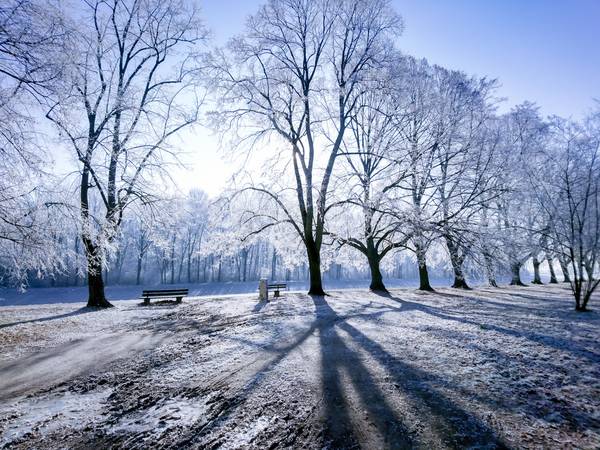 Wintertraum. Licht und Schatten im Winter.jpg (29924 KB)  à Dennis Wetzel