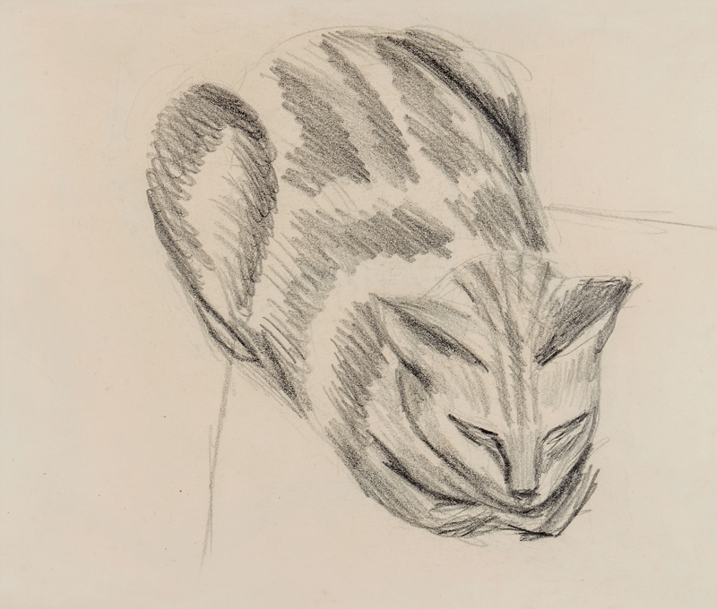 Sleeping Cat (pencil on paper) à Denton Welch