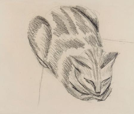 Sleeping Cat (pencil on paper)
