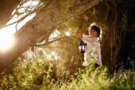 The Girl With The Blue Lantern