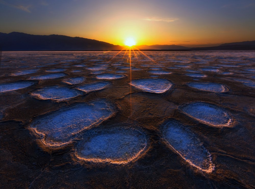 Crystal Flower in Death Valley à Dianne Mao