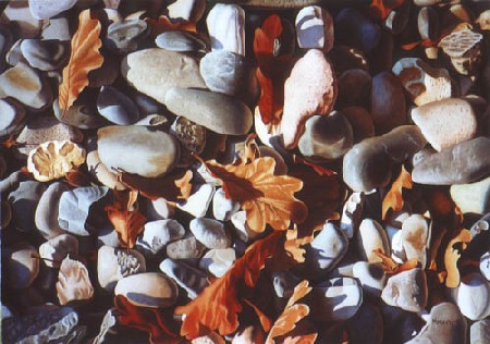 Silex dans feuillage de chêne à Dietrich Moravec