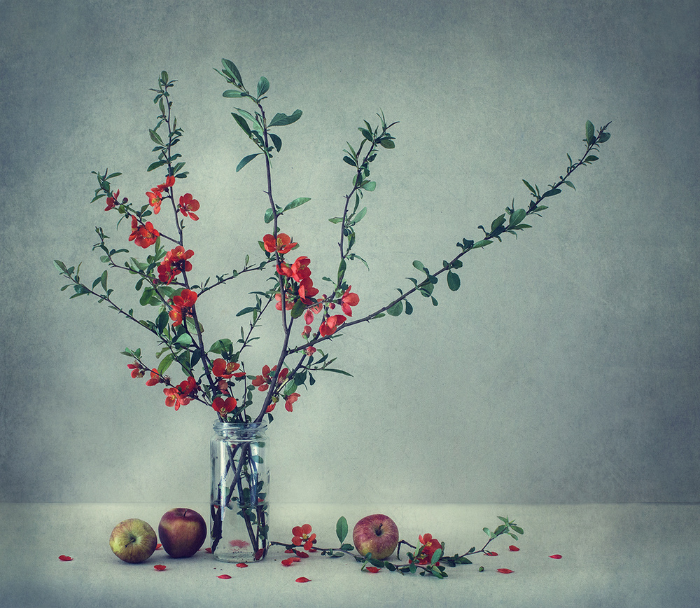 Still life with a Japanese quince à Dimitar Lazarov - Dim