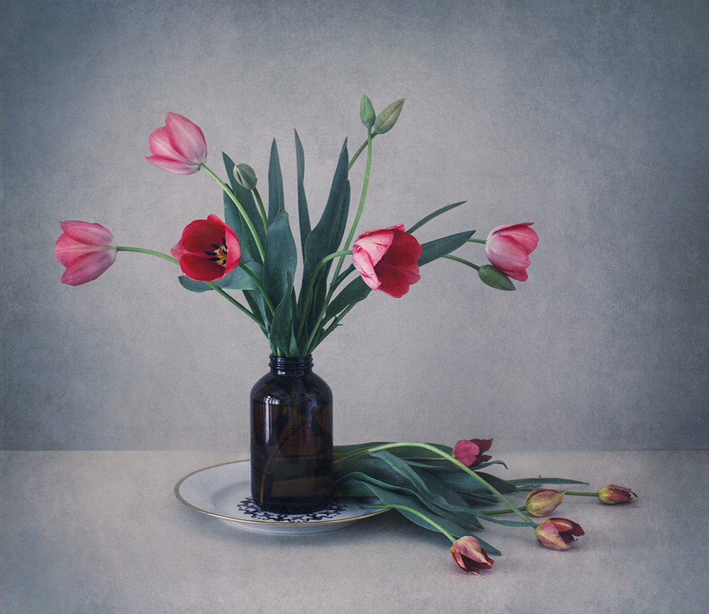 Still life with tulips à Dimitar Lazarov - Dim