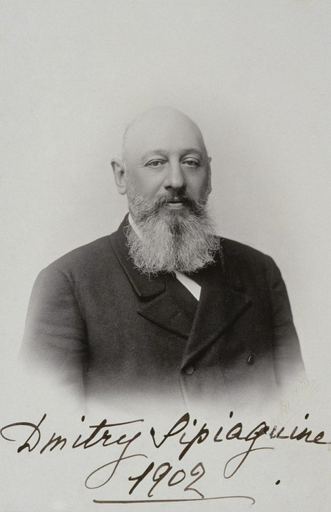 Portrait of Dmitry Sergeyevich Sipyagin (1853-1902) à Dimitrij Grigorjewitsch Lewizkij