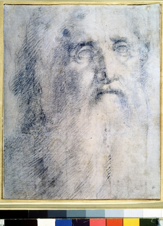 Study of an old Man's head with a beard à Domenico Beccafumi