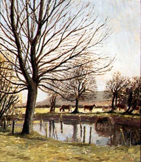 Cattle by a Pond à Dora Carrington