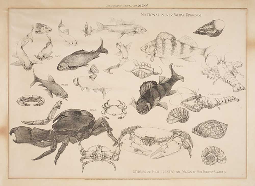 Studies of Fish Treated for Design, 1903 à Dorothy Martin