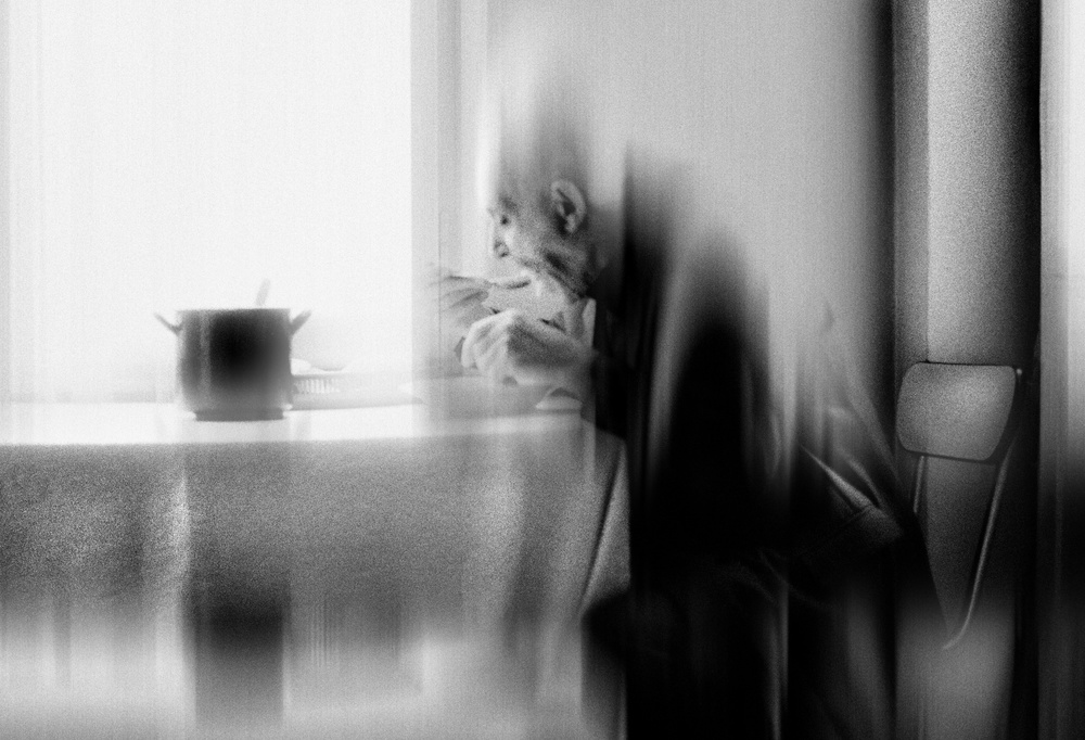 Dining in the silence of oblivion à Dragan Ristic