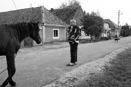 Rural traffic