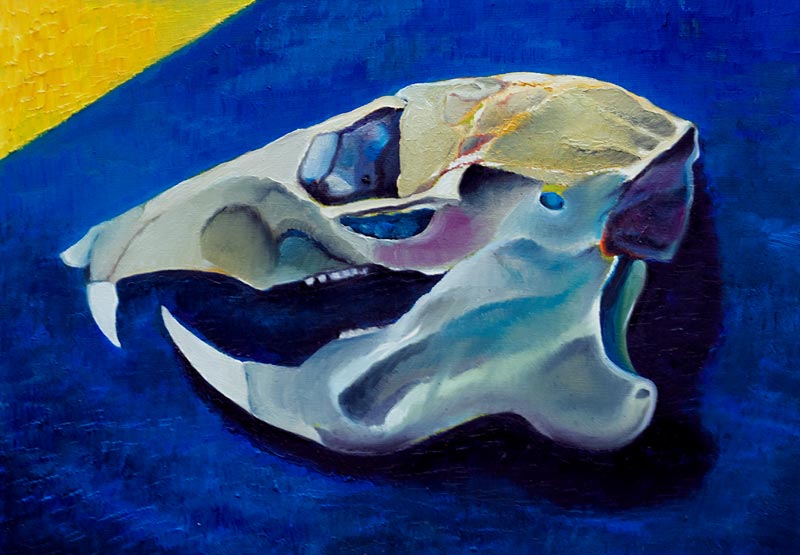 Skull no.5 à Azure