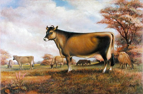 Jersey Cow (oil on canvas)  à Dudley  Pout