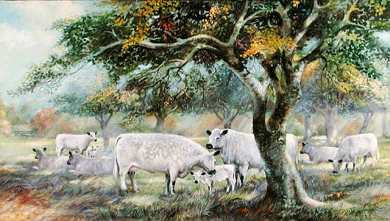 Orchard Sunlight (oil on canvas)  à Dudley  Pout