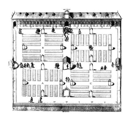 Leiden Botanic Garden (engraving) (b/w photo) à École Hollandaise, (17ème siècle)