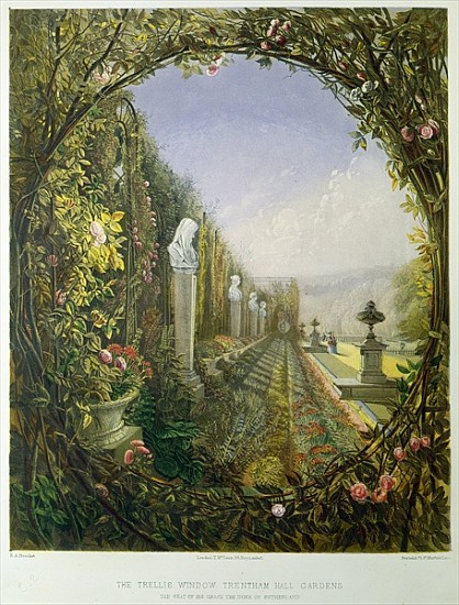 The Trellis Window, Trentham Hall Gardens, from ''Gardens of England'', published 1857 à E. Adveno Brooke