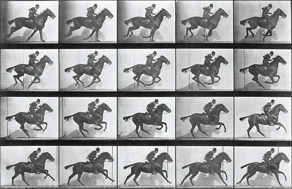Galloping Horse, plate 628 from ''Animal Locomotion'', 1887 (b/w photo)  à Eadweard Muybridge