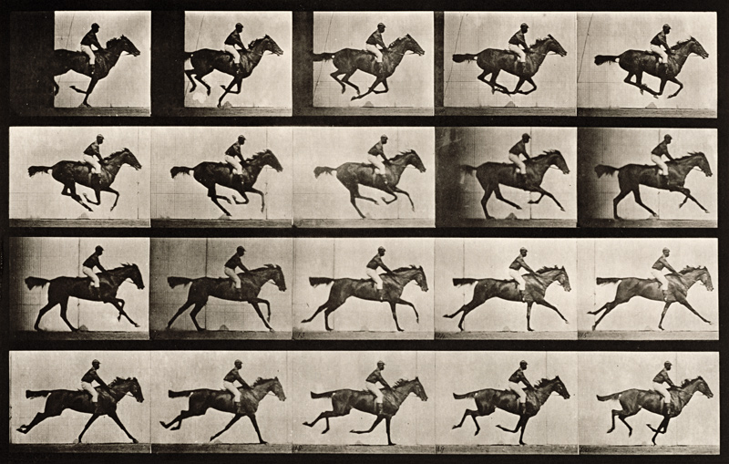 Jockey on a galloping horse, plate 627 from ''Animal Locomotion'', 1887 (b/w photo)  à Eadweard Muybridge