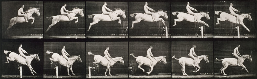 Man and horse jumping a fence, plate 643 from ''Animal Locomotion'', 1887 (b/w photo)  à Eadweard Muybridge