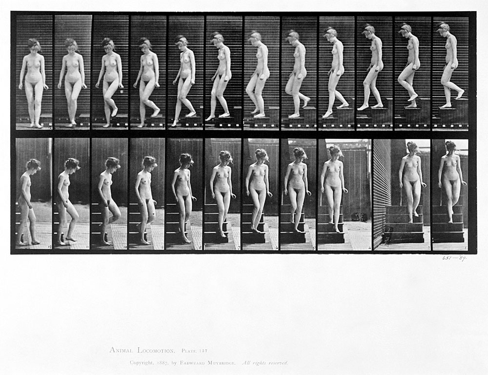 Woman descending steps, plate 137 from ''Animal Locomotion'', 1887 (b/w photo)  à Eadweard Muybridge
