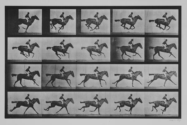 Jockey on a galloping horse, plate 627 from "Animal Locomotion" à Eadweard Muybridge