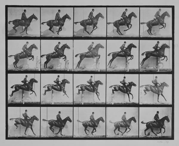 Man and horse jumping a fence, plate 640 from 'Animal Locomotion', 1887 (b/w photo) à Eadweard Muybridge