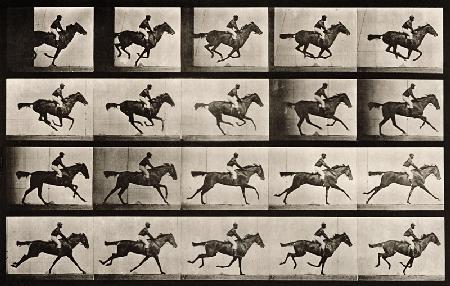 Jockey on a galloping horse, plate 627 from ''Animal Locomotion'', 1887 (b/w photo) 