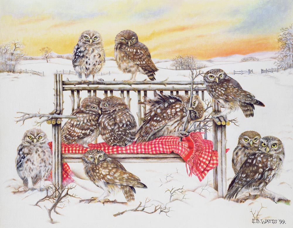 Little Owls on Twig Bench, 1999 (acrylic on canvas)  à E.B.  Watts