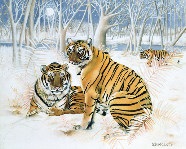 Tigers in the Snow à E.B.  Watts