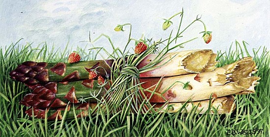 Asparagus Tied with Wild Strawberries, 1997 (acrylic on paper)  à E.B.  Watts