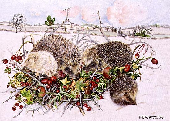 Hedgehogs in Hedgerow Basket, 1996 (acrylic on canvas)  à E.B.  Watts